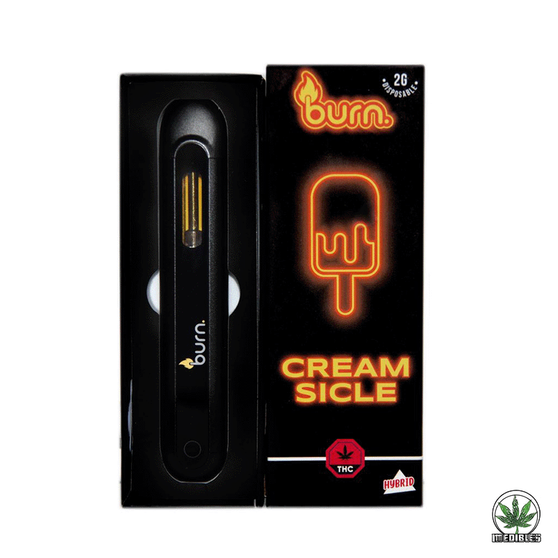 Burn 2G Disposable THC Vape gallery