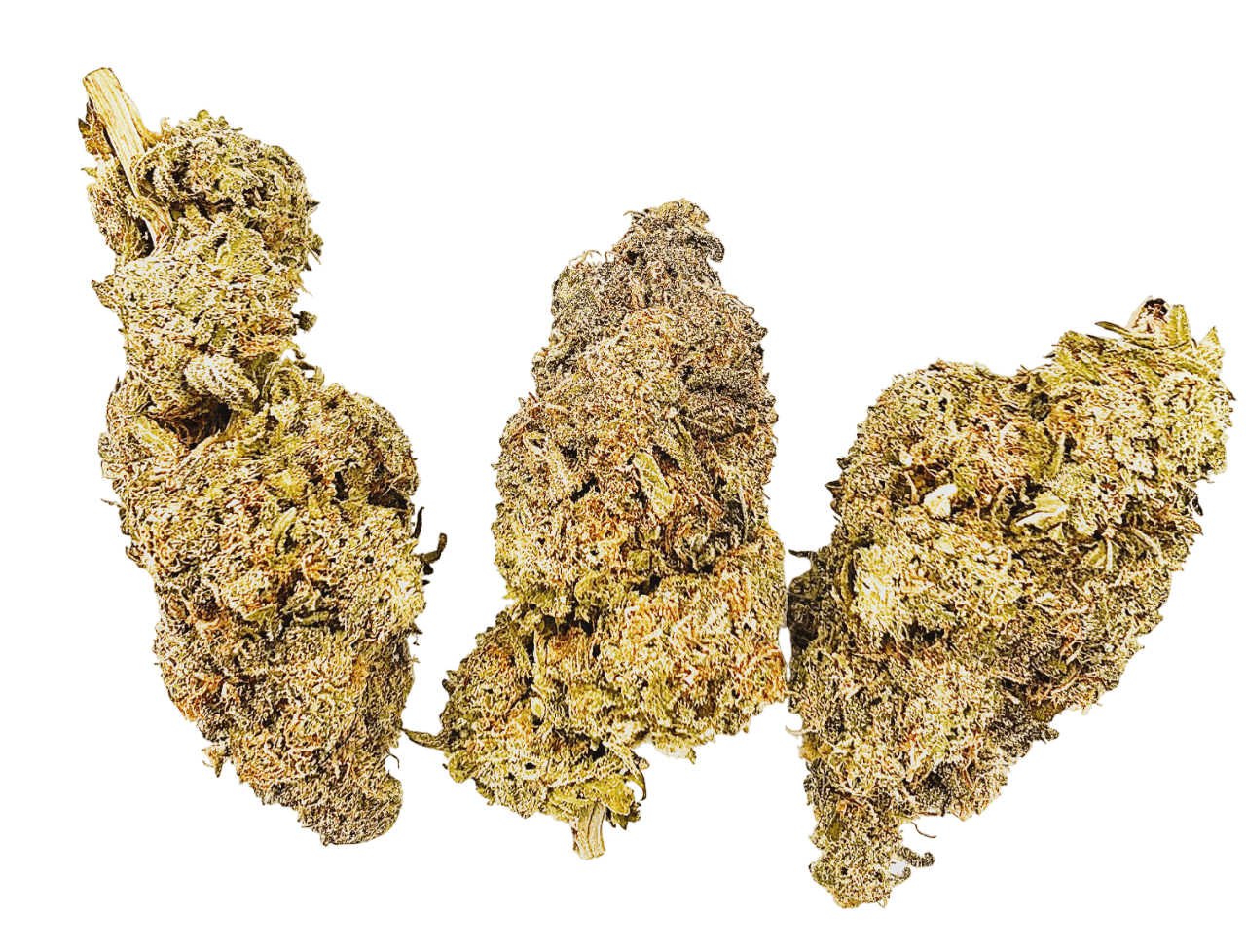 Kandy Kush gallery
