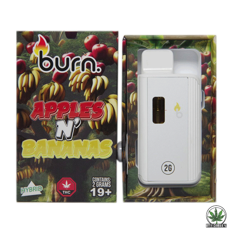 Burn 2G Disposable THC Vape gallery