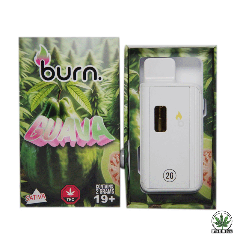 Burn 2G Disposable THC Vape gallery