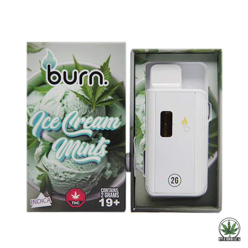 Burn 2G Disposable THC Vape gallery