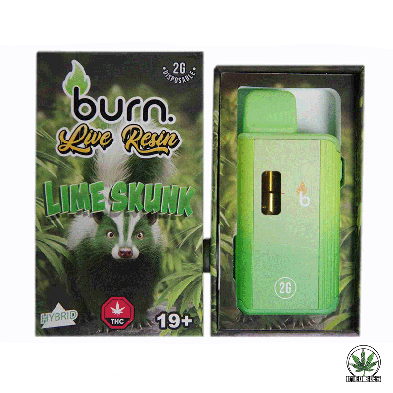 Burn 2G Disposable THC Live Resin Vape gallery