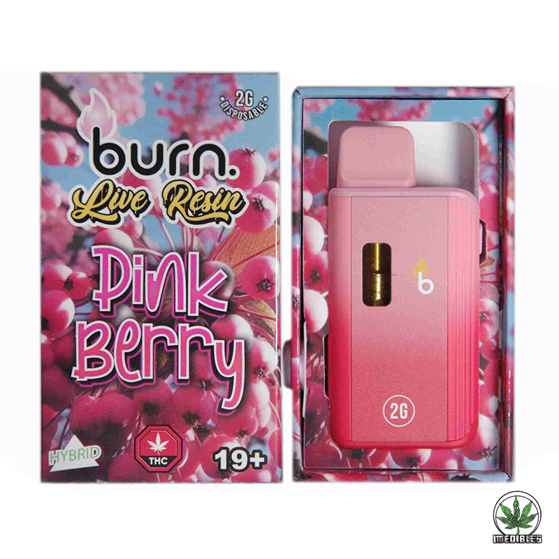 Burn 2G Disposable THC Live Resin Vape gallery