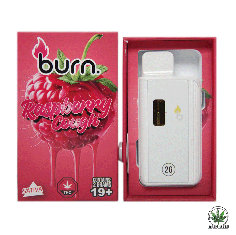 Burn 2G Disposable THC Vape gallery