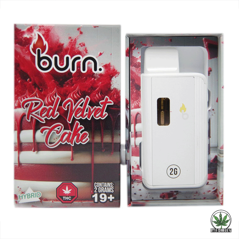 Burn 2G Disposable THC Vape gallery