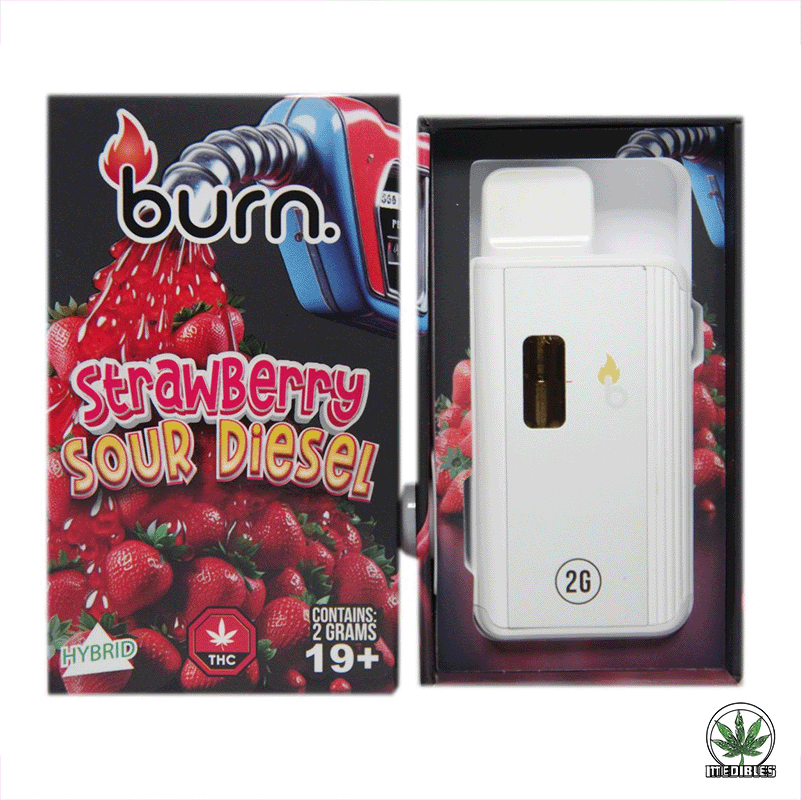 Burn 2G Disposable THC Vape gallery