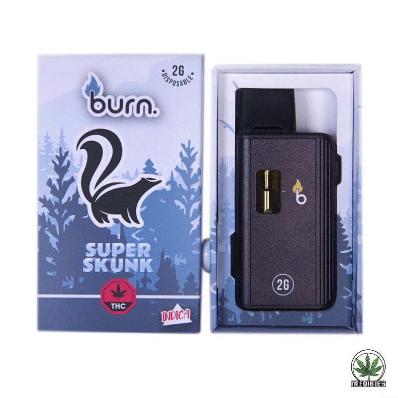 Burn 2G Disposable THC Vape gallery