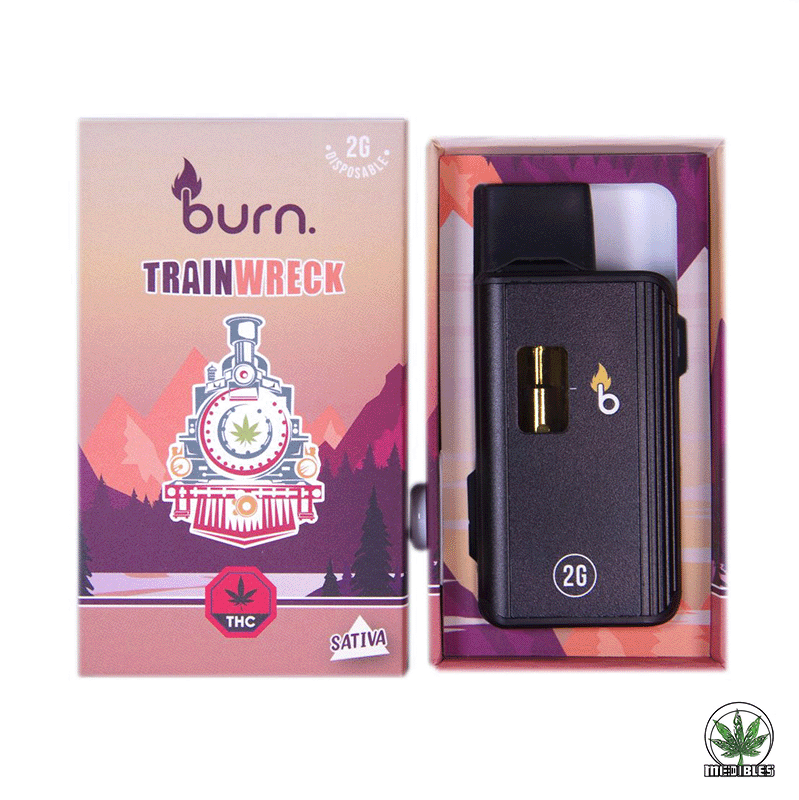 Burn 2G Disposable THC Vape gallery