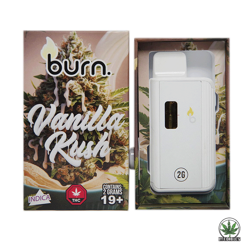 Burn 2G Disposable THC Vape gallery