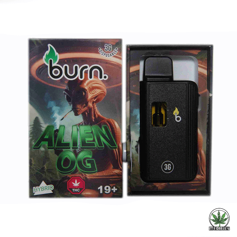 Burn 3g THC Disposable Vape gallery