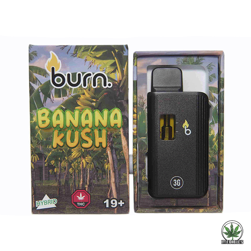 Burn 3g THC Disposable Vape gallery