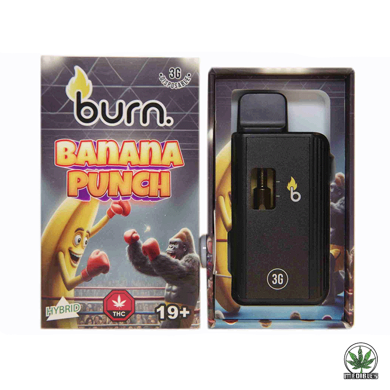 Burn 3g THC Disposable Vape gallery