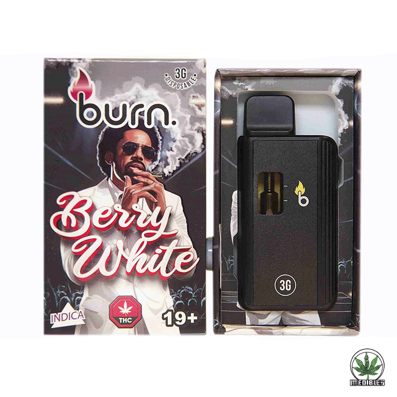 Burn 3g THC Disposable Vape gallery