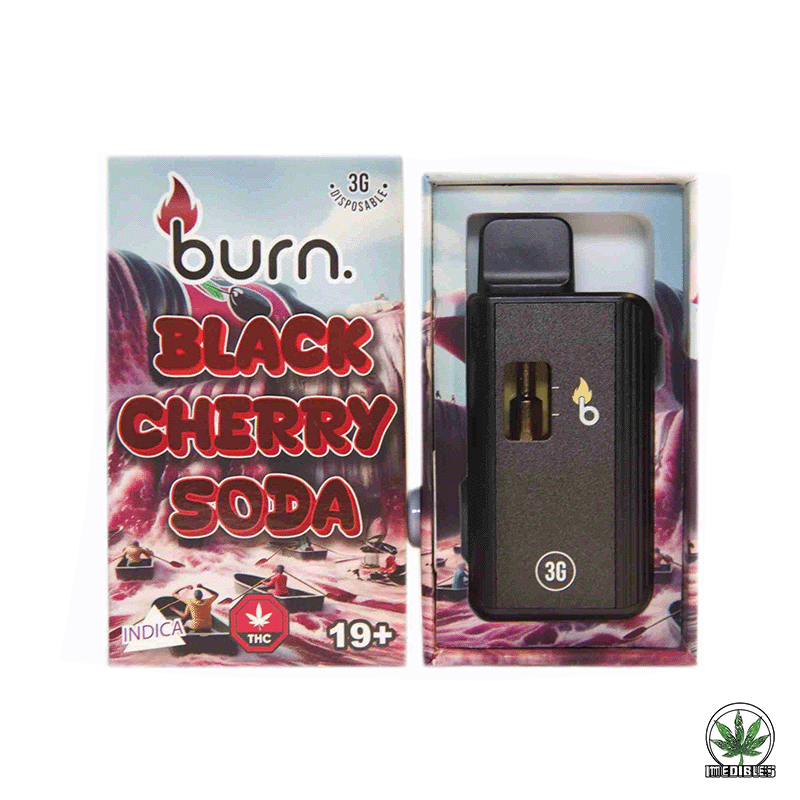 Burn 3g THC Disposable Vape gallery
