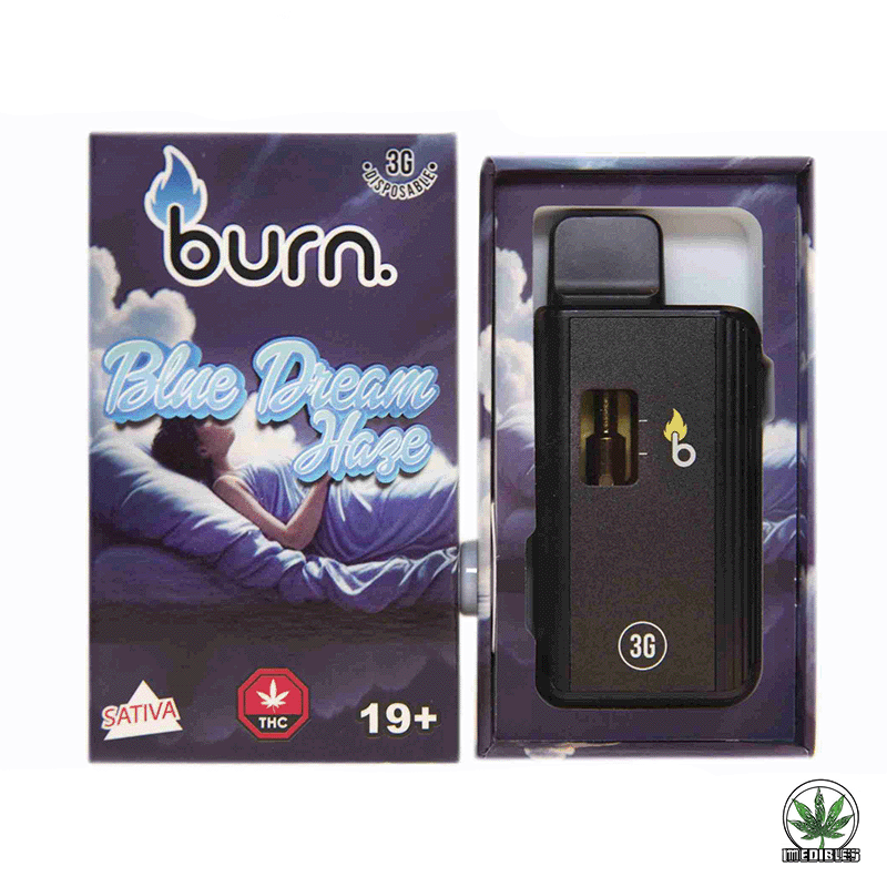 Burn 3g THC Disposable Vape gallery