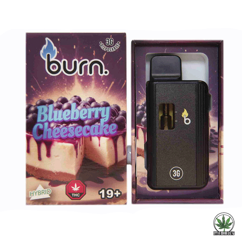 Burn 3g THC Disposable Vape gallery