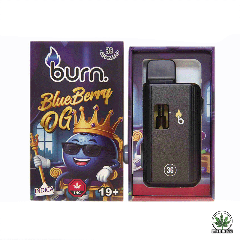 Burn 3g THC Disposable Vape gallery