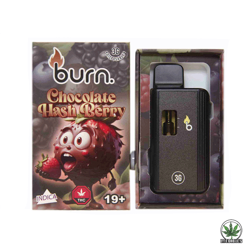 Burn 3g THC Disposable Vape gallery