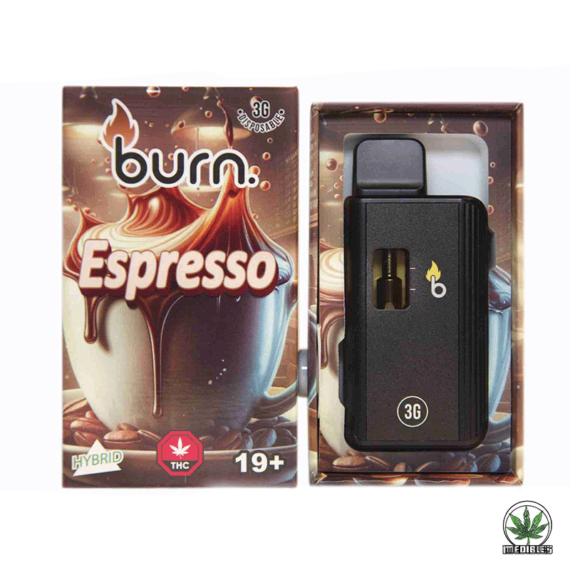 Burn 3g THC Disposable Vape gallery