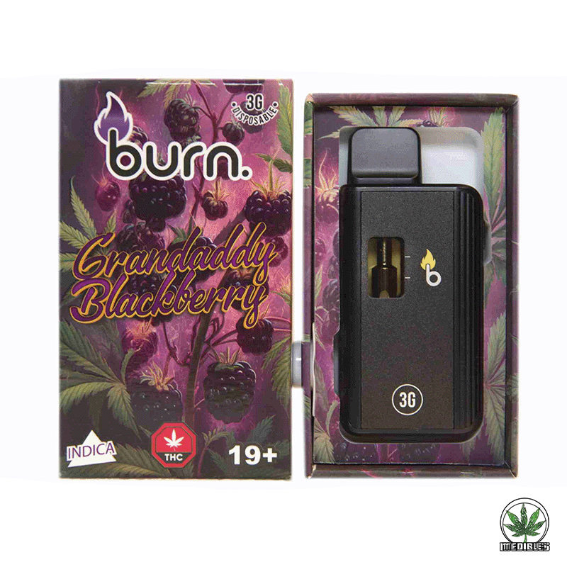 Burn 3g THC Disposable Vape gallery