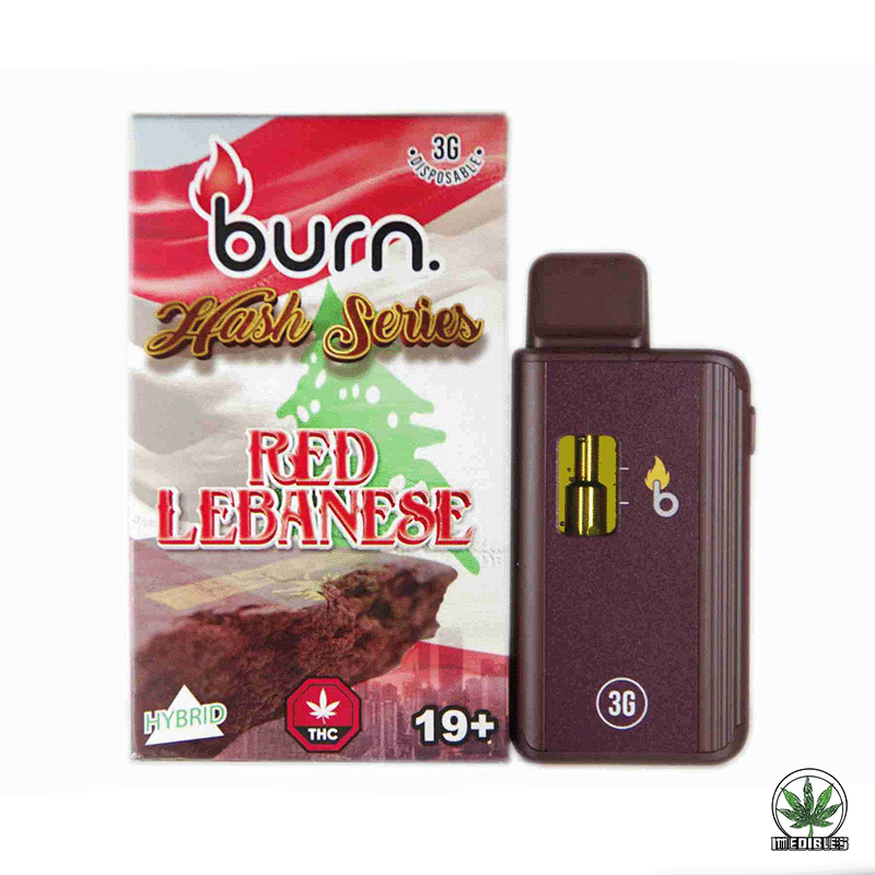 Burn 3g THC Disposable Vape gallery