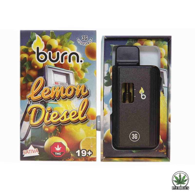 Burn 3g THC Disposable Vape gallery