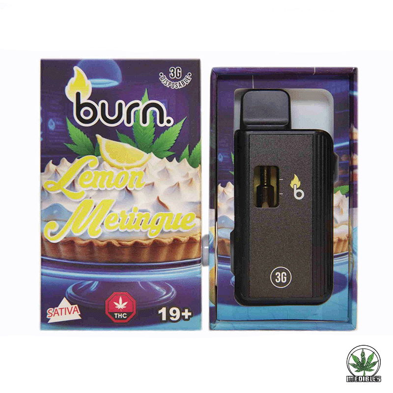 Burn 3g THC Disposable Vape gallery