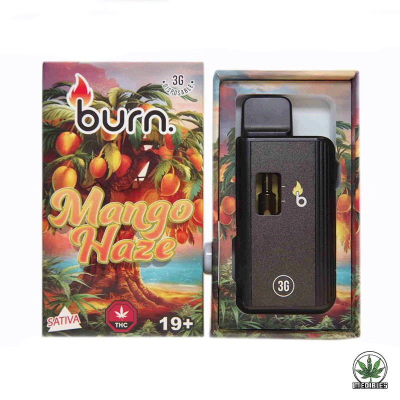 Burn 3g THC Disposable Vape gallery