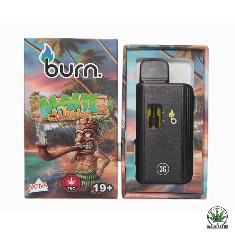 Burn 3g THC Disposable Vape gallery