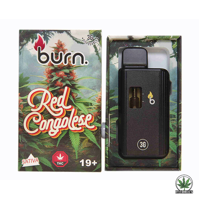 Burn 3g THC Disposable Vape gallery