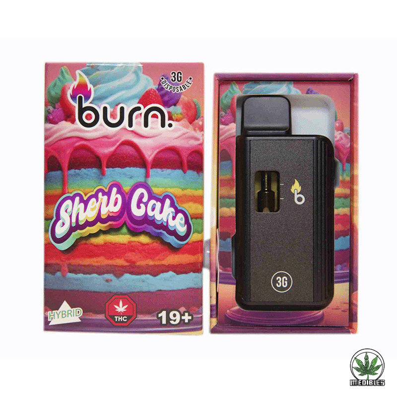 Burn 3g THC Disposable Vape gallery