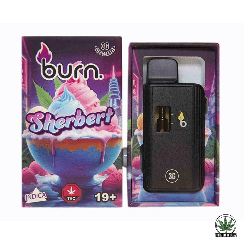 Burn 3g THC Disposable Vape gallery