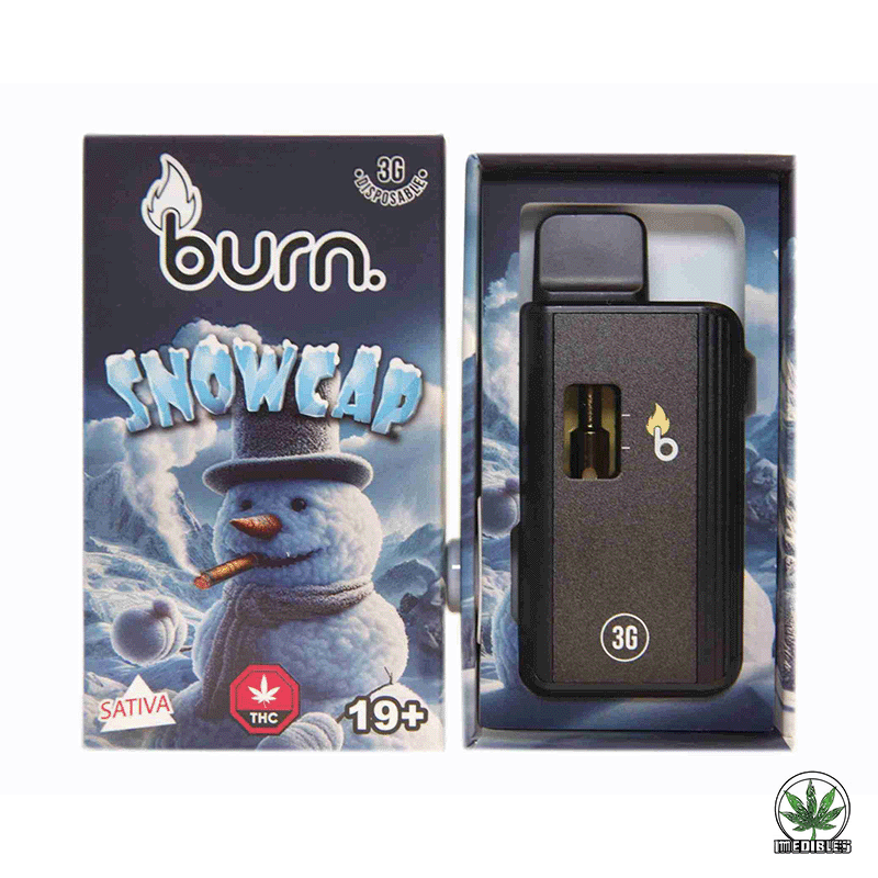Burn 3g THC Disposable Vape gallery