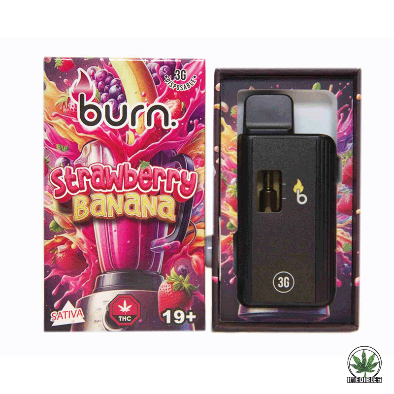 Burn 3g THC Disposable Vape gallery
